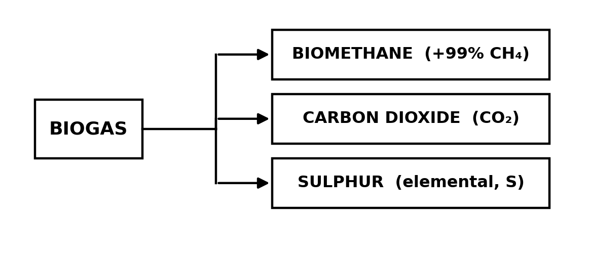 Diagram: biogas separates into biomethane, carbon dioxide and sulphur